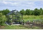 Halls Gew&auml;chshaus 'Blockley 814' 256 x 441 cm mit 3 mm Sicherheitsglas schwarz