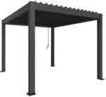 Biohort Pergola Gr. 3 dunkelgrau-metallic 312 x 367,5 cm