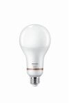 Philips LED-Leuchtmittel 'Smart' matt 18,5 W 2452 lm