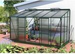 Vitavia Anlehngew&auml;chshaus 'Ida 7800' 378,8 x 190,1 cm mit 4 mm Hohlkammerplatten