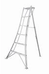 Niwaki 3-Holm-Gartenleiter Aluminium silbern 122 x 125 x 180 cm