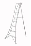 Niwaki 3-Holm-Gartenleiter Aluminium silbern 157 x 125 x 240 cm