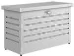 Biohort Gartenbox 'FreizeitBox 100' Stahl silbern 101 x 61 x 46 cm