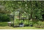 Halls Gew&auml;chshaus 'Qube 66' 188,8 x 188,8 cm mit 3 mm Sicherheitsglas schwarz