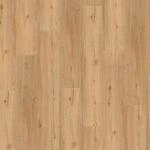 Parador Vinylboden 'Basic 5.3' Eiche Natur braun 5,3 mm