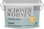Sch&ouml;ner Wohnen Farbe Trendfarbe 'Maui' blaugrau matt 1 l
