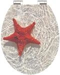 Sch&uuml;tte WC-Sitz 'Red Starfish HG' mit Absenkautomatik Holzkern