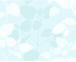 d-c-fix Sichtschutzfolie 'Static Premium' amena-transparent 45 x 150 cm