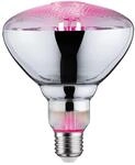 Paulmann LED-Pflanzenleuchtmittel Reflektor E27 6,5 W 200 lm warmwei&szlig;