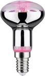 Paulmann LED-Reflektor Pflanzenlampe E14 4 W 100 lm 64&deg;