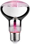 Paulmann LED-Pflanzenleuchtmittel 'Plant' Reflektor E27 6,5 W 200 lm warmwei&szlig;