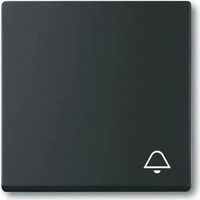 Busch-Jaeger 2CKA001751A3183, Busch-Jaeger Wippe Schalter 2520 KI-885 | Symbol