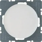 Berker 10092089, Berker Blindabdeckung 10092089 | R.1/R.3 | Unterputz | Kunststoff 