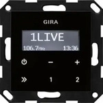 Gira 228405, Gira Unterputz-Radio RDS 228405 | System 55 | UKW-Radio mit RDS 