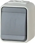 ELSO 442109, Elso Aufputz-Taster 442109 | Wipptaster 1-fach | IP44 | 10A 250V 