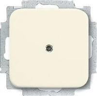 Busch-Jaeger 1715-0-0218, Busch-Jaeger Blindzentralscheibe 2538-212 | Duro 2000 SI 