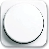 Busch-Jaeger 6599-0-0237, Busch-Jaeger Zentralscheibe f&uuml;r Dimmer 2115-214 