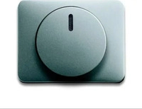 Busch-Jaeger 6599-0-2855, Busch-Jaeger Zentralscheibe f&uuml;r Drehdimmer 6540-266 