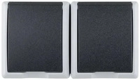 REV 10221, REV Ritter AP-Steckdose AquaForm 10221 | 2-fach waagerecht 