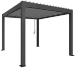 Biohort Pergola B 312 x T 367,5 x H 255 cm (Gr. 3x3,5) Rahmen: dunkelgrau-metallic /