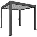 Biohort Pergola B 312 x T 312 x H 255 cm (Gr. 3x3) Rahmen: dunkelgrau-metallic /