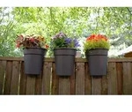 KHW Flowerclip, 3er Set, anthrazit-Kartonverpackung