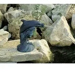 Ubbink Wasserspeier Delfin