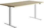 Topstar Schreibtisch, elektrisch h&ouml;henverstellbar, gerade, BxT 1600 x 800 mm,