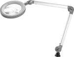 Waldmann LED-Lupenleuchte, 10 W, staubgrau