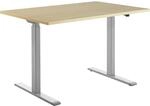 Topstar Schreibtisch, elektrisch h&ouml;henverstellbar, gerade, BxT 1200 x 800 mm,