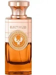 ELECTIMUSS Moroccan Medjool Extrait de Parfum Spray 100ml