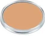 Sensai Cellular Performance Total Finish Foundation Refill 11g - TF13 Warm Beige