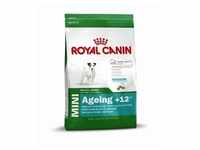 Royal Canin Mini Ageing 12+ 3,5kg