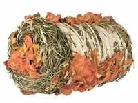 Trixie Heuballen mit Kürbis und Karotte 10 × 18 cm / 200 g