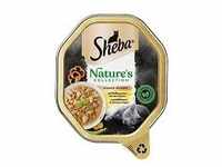 Sheba Schale Natures Collection Huhn in Sauce 85g (Menge: 22 je Bestelleinheit)