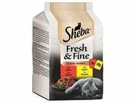Sheba PB. MP. Fresh & Fine in Sauce Rind & Huhn 6x50g (Menge: 6 je Bestelleinheit)