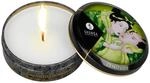 Geishas Secrets - Green Tea, 5 Teile