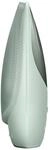 Sonic Thermo Facial Brush | 6 in 1