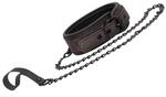 Elegant Collar with Leash