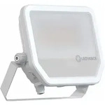 Ledvance LED-Strahler Floodlight 50 P 41W, 6.000lm 4000K, Aluminium, Wei&szlig;