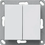 Gira 242203, Gira Funk Wandsender System 55, 2-fach, Reinwei&szlig; gl&auml;nzend, 242203