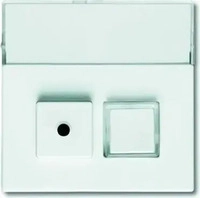 Busch J&auml;ger 2CKA001582A0348, Busch J&auml;ger Abdeckung f&uuml;r Signaltaster 1572CN-84