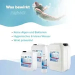 2x 5 L Algizid Algenverh&uuml;tung f&uuml;r Pools im Kanister