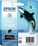 Epson C13T76094010, Epson T7609 hell grau