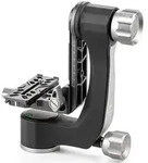 Benro Swing / Gimbal Kopf mit Wechselplatte (GH2N) | ✔️ Tempor&auml;r mit...