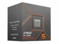 AMD Ryzen 5 8500G mit AMD Radeon Grafik (6x 3,5 GHz) 22MB Sockel AM5 CPU BOX