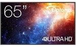 Optoma N3651K 165,1cm (65") Professionelles Digital Signage Display