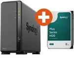 Synology DS124 NAS System 1-Bay 8 TB inkl. 8 TB Synology HDD HAT3320-8T