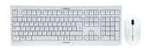 Cherry DW 3000 Maus-Tastaturkombination USB kabellos DE Layout grau