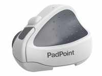 SWIFTPOINT PadPoint Mini - Ergonomische Bluetooth Maus für Mac & iPad